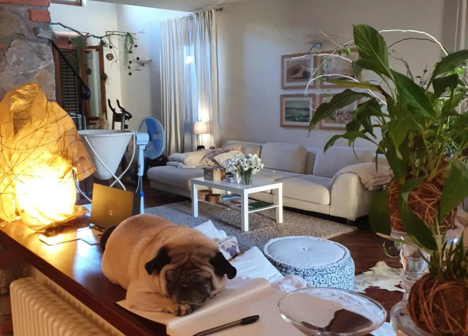 Pietra E Glicine B&B Pieve a Nievole 2*,
