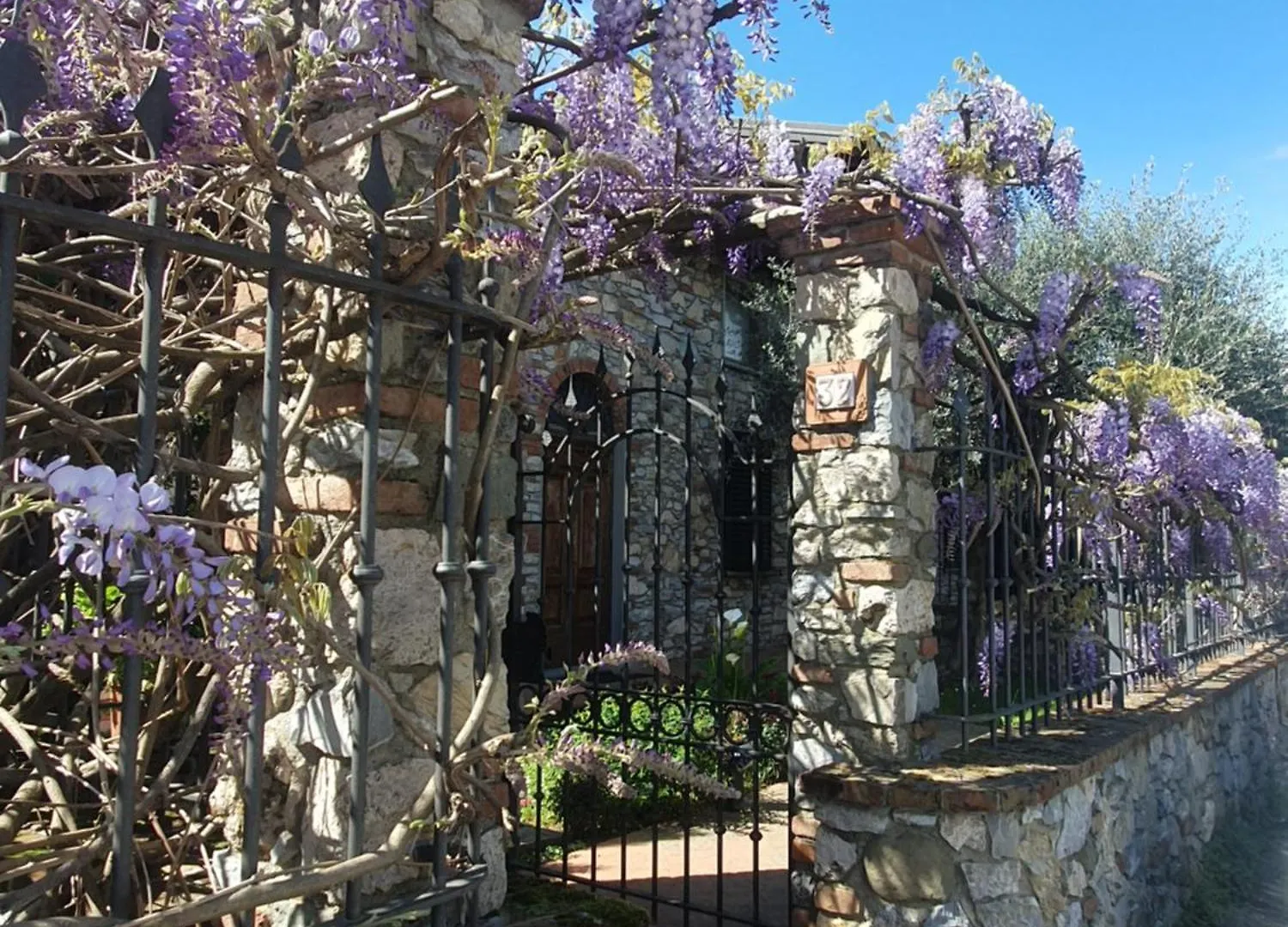 Pietra E Glicine B&B Pieve a Nievole Bed & Breakfast