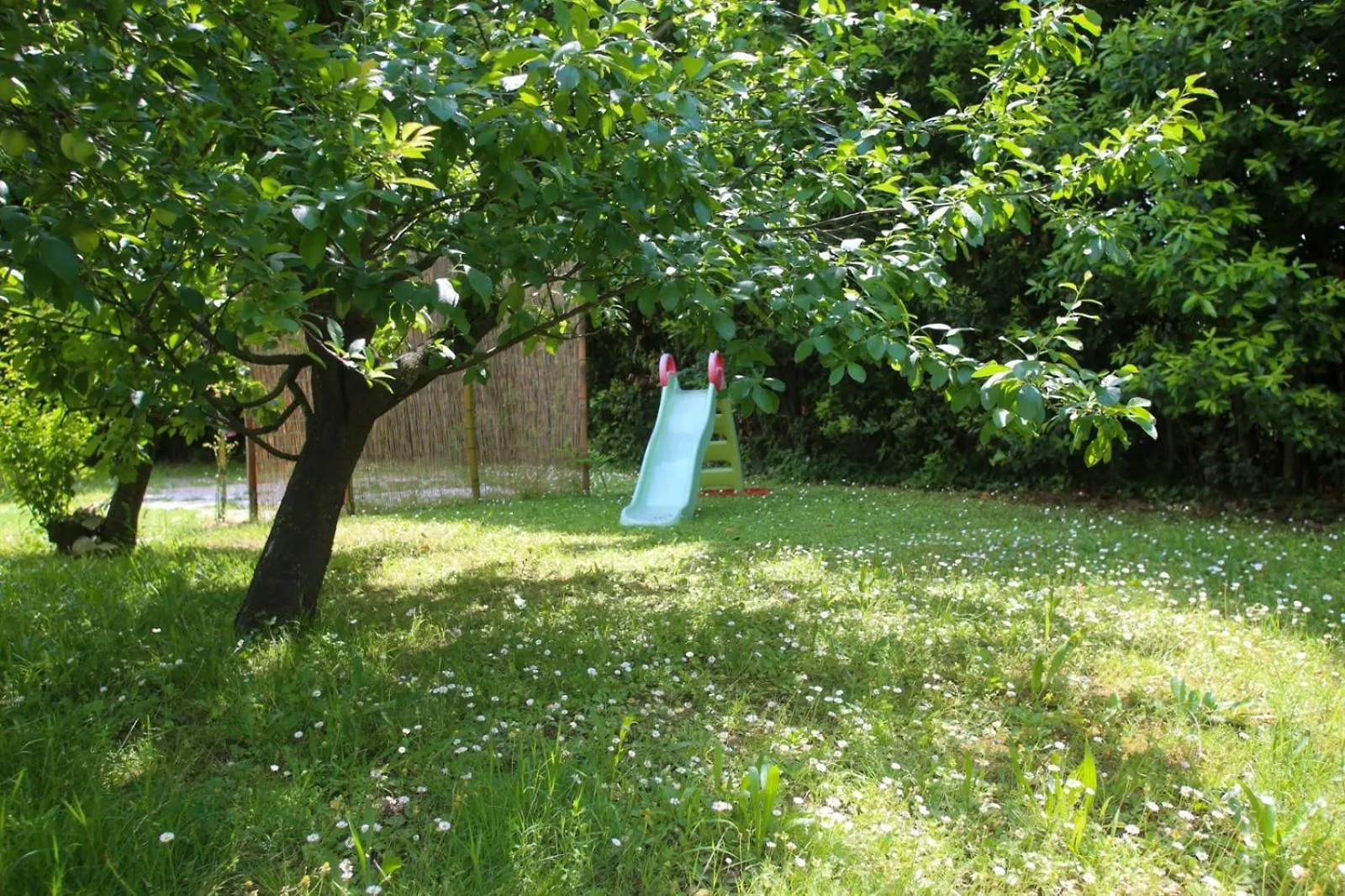 Bed & Breakfast Pietra E Glicine B&B Pieve a Nievole