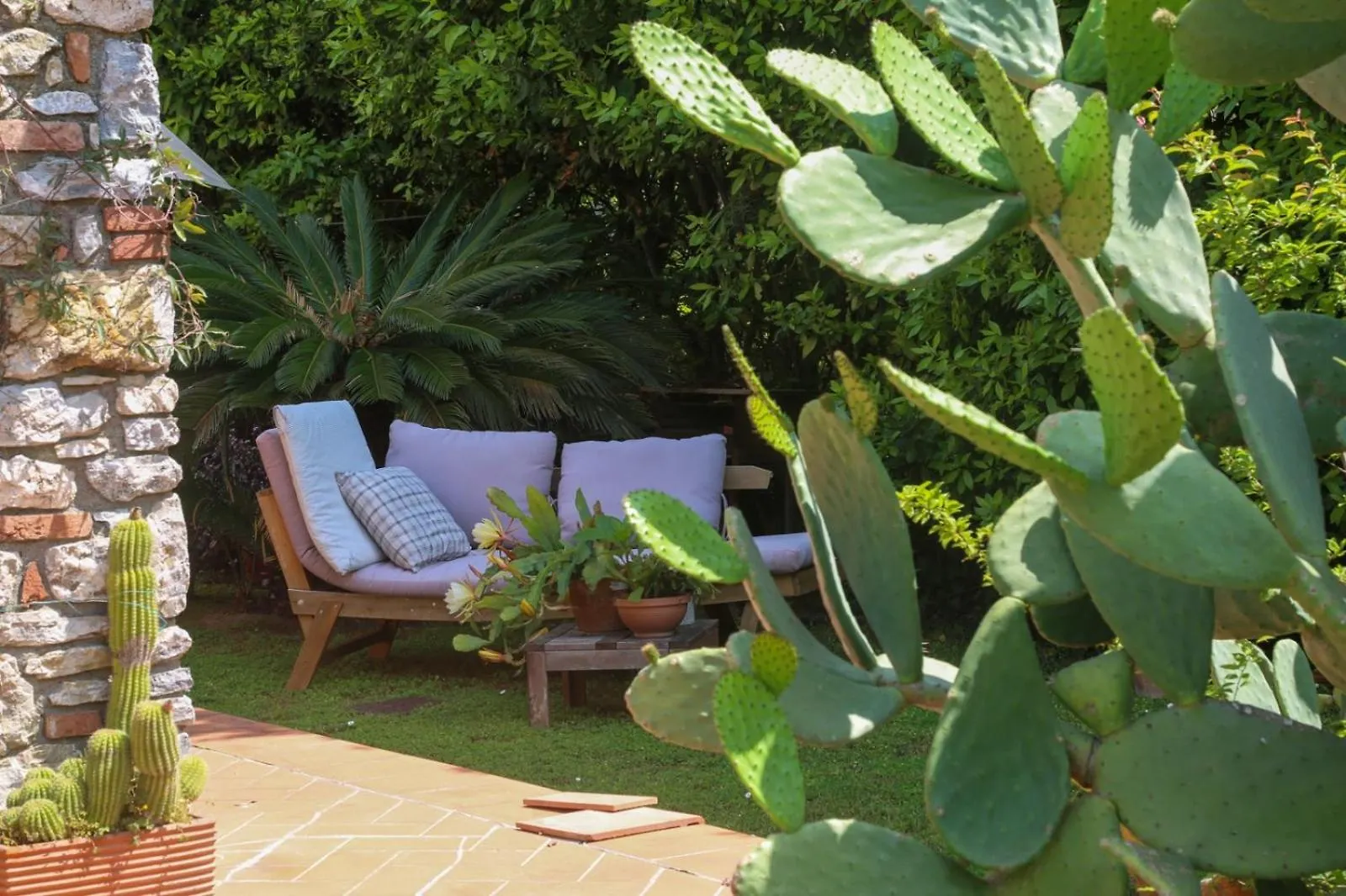 Pietra E Glicine B&B Pieve a Nievole Italy