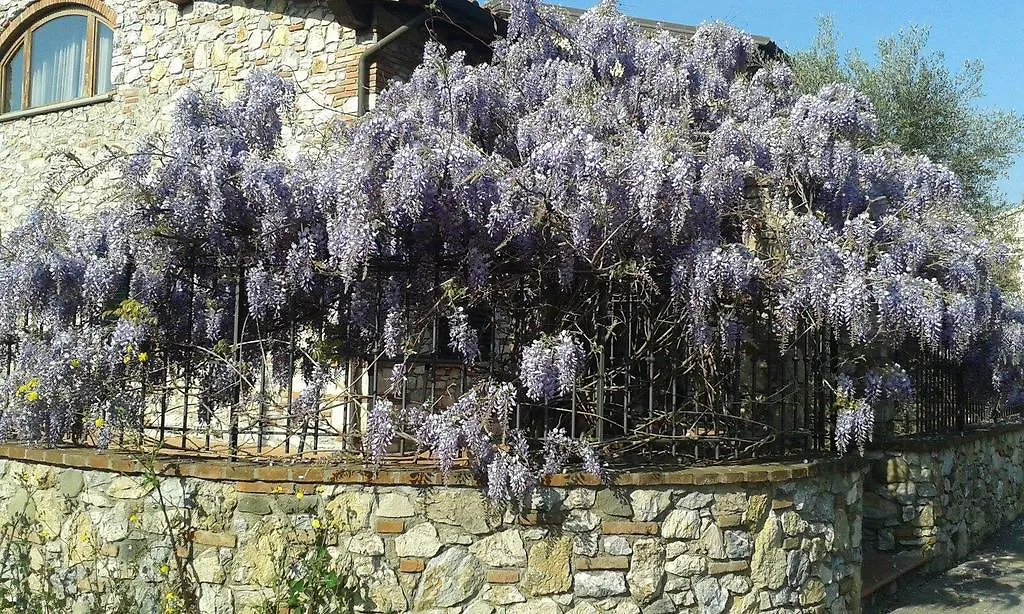 Pietra E Glicine B&B Pieve a Nievole